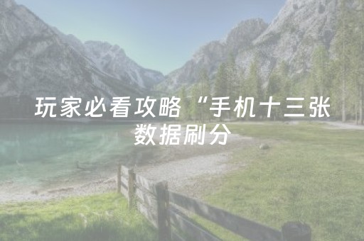 玩家必看攻略“手机十三张数据刷分（助赢神器通用版）