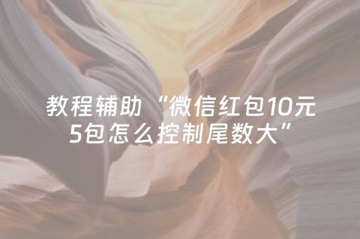 教程辅助“微信红包10元5包怎么控制尾数大”（详细透视教程）-哔哩哔哩