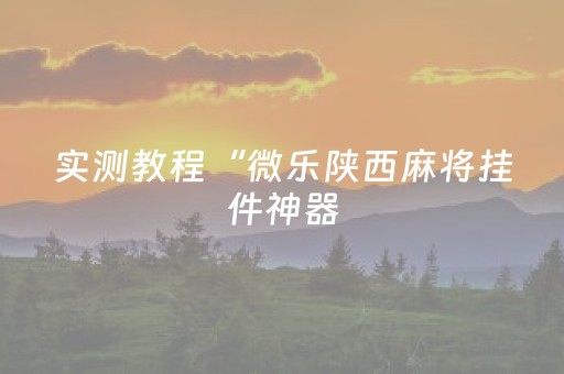 实测教程“微乐陕西麻将挂件神器（专用辅牌神器免安装）