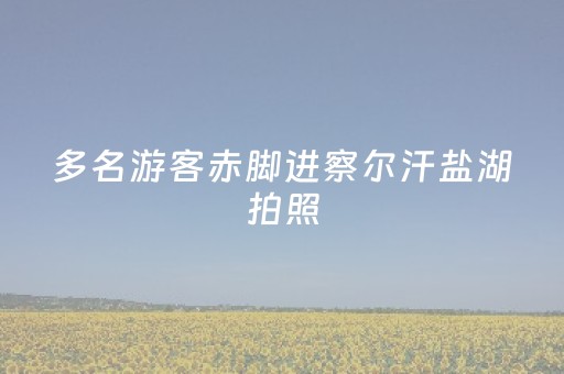 我来教大家“普通家用麻将免安装控牌神器（专用辅牌神器免安装）