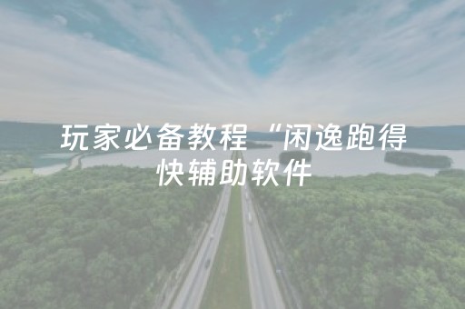 玩家必备教程“闲逸跑得快辅助软件（专用辅牌神器免安装）