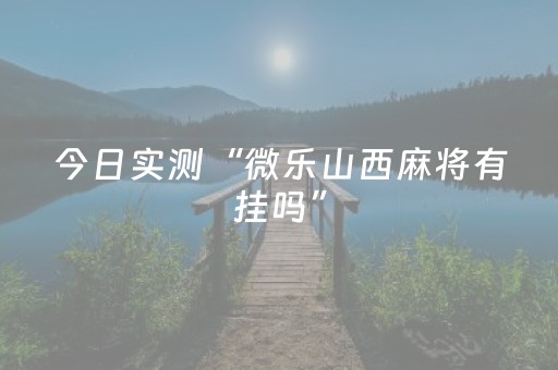 今日实测“微乐山西麻将有挂吗”（详细辅助教程）-哔哩哔哩