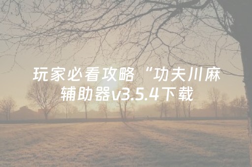 玩家必看攻略“功夫川麻辅助器v3.5.4下载（助赢神器通用版）