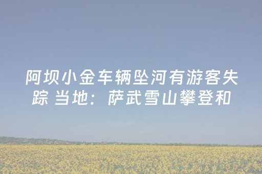 必看教程！“微乐内蒙麻将输赢规律”（详细辅助教程）-哔哩哔哩