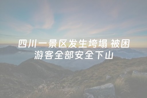 实测教程“最新免安装程序麻将机（专用辅牌神器免安装）