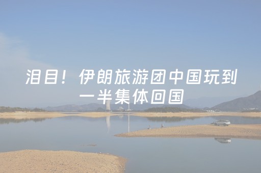我来教大家“雀神辅助器免费版ios（专用辅牌神器免安装）