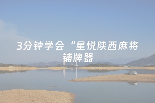 3分钟学会“星悦陕西麻将铺牌器（专用辅牌神器免安装）