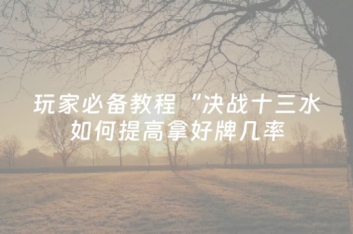 玩家必备教程“决战十三水如何提高拿好牌几率（助赢神器通用版）