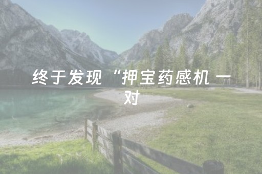 终于发现“押宝药感机 一对（助赢神器通用版）
