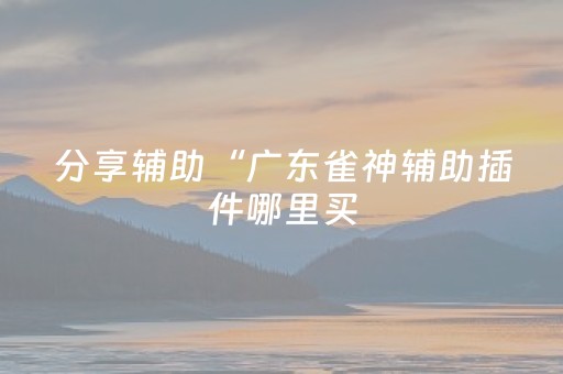 分享辅助“广东雀神辅助插件哪里买（专用辅牌神器免安装）