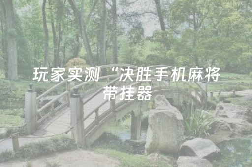 玩家实测“决胜手机麻将带挂器（专用辅牌神器免安装）
