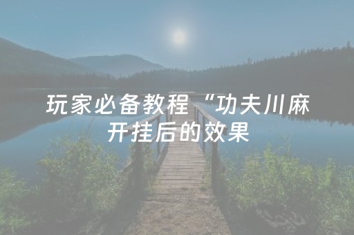玩家必备教程“功夫川麻开挂后的效果（专用辅牌神器免安装）