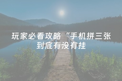 分享辅助“微信金花拼三张辅助器（专用辅牌神器免安装）