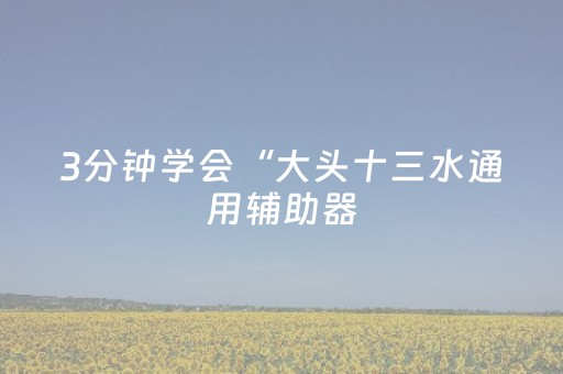 3分钟学会“大头十三水通用辅助器（助赢神器通用版）