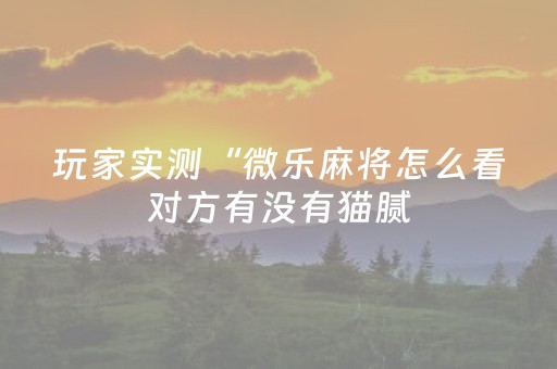 玩家实测“微乐麻将怎么看对方有没有猫腻（专用辅牌神器免安装）