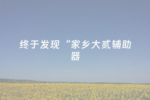 终于发现“家乡大贰辅助器（专用辅牌神器免安装）