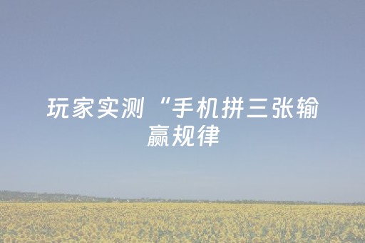 实测教程“微乐河南麻将专用神器下载（专用辅牌神器免安装）