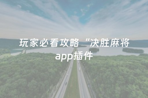 玩家必看攻略“决胜麻将app插件（专用辅牌神器免安装）