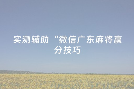 实测辅助“微信广东麻将赢分技巧（专用辅牌神器免安装）