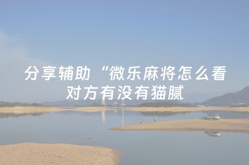 分享辅助“微乐麻将怎么看对方有没有猫腻（助赢神器通用版）