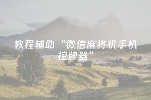 教程辅助“微信麻将机手机控牌器”（详细透视教程）-哔哩哔哩