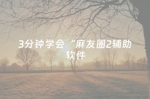 3分钟学会“麻友圈2辅助软件（助赢神器通用版）