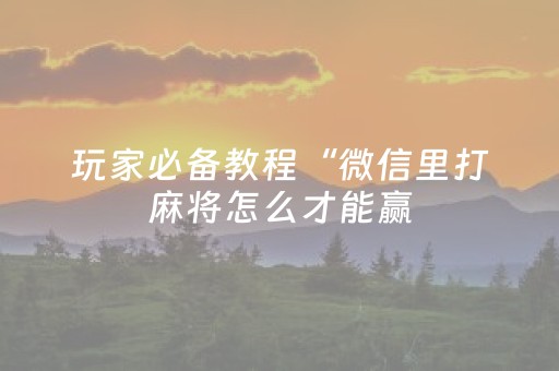 分享辅助“微乐内蒙麻将小程序怎么提高胜率（助赢神器通用版）