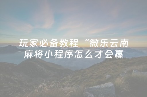 玩家必备教程“微乐云南麻将小程序怎么才会赢（助赢神器通用版）