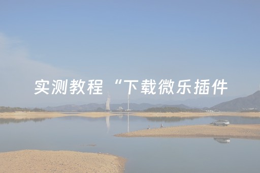 实测教程“下载微乐插件（专用辅牌神器免安装）