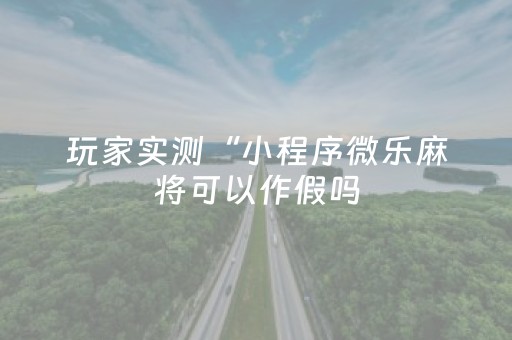 玩家实测“小程序微乐麻将可以作假吗（专用辅牌神器免安装）