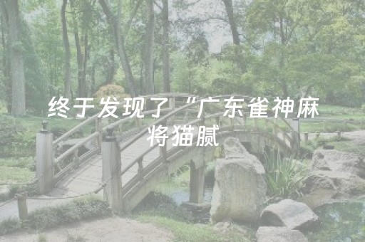 终于发现了“广东雀神麻将猫腻（助赢神器通用版）