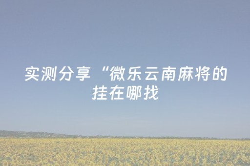 实测分享“微乐云南麻将的挂在哪找（专用辅牌神器免安装）