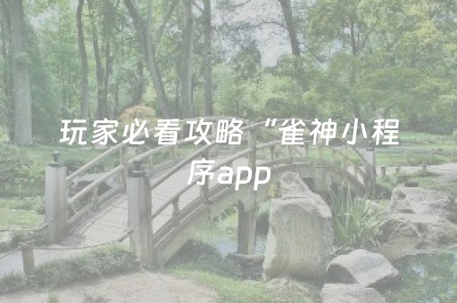 玩家必看攻略“雀神小程序app（专用辅牌神器免安装）