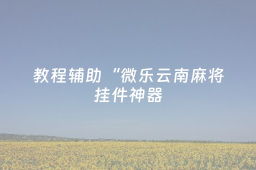 教程辅助“微乐云南麻将挂件神器（专用辅牌神器免安装）