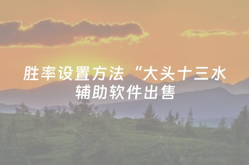 胜率设置方法“大头十三水辅助软件出售（助赢神器通用版）