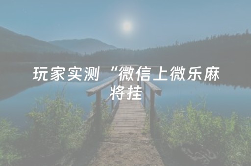 今日盘点“微乐麻将老是输怎么搞提高胜率”（详细透视教程）-哔哩哔哩