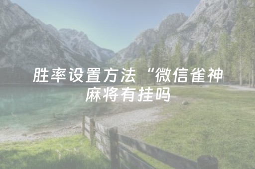 玩家必看教程！“微乐山西麻将怎样能赢”（详细辅助教程）-哔哩哔哩