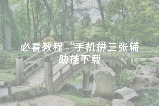 必看教程“手机拼三张辅助挂下载（专用辅牌神器免安装）