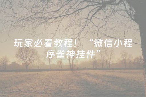 玩家必看教程！“微信小程序雀神挂件”（详细透视教程）-哔哩哔哩