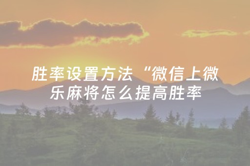 胜率设置方法“微信上微乐麻将怎么提高胜率（专用辅牌神器免安装）