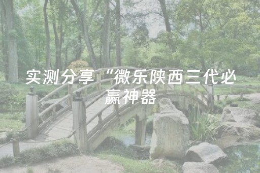 实测分享“微乐陕西三代必赢神器（专用辅牌神器免安装）