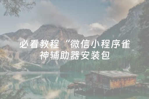 必看教程“微信小程序雀神辅助器安装包（专用辅牌神器免安装）