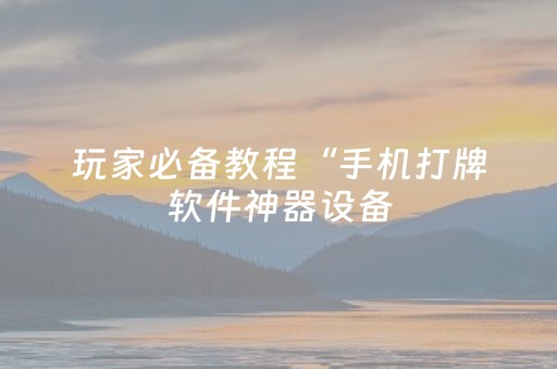玩家必备教程“手机打牌软件神器设备（专用辅牌神器免安装）
