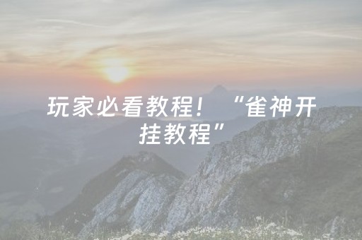 玩家必看教程！“雀神开挂教程”（详细辅助教程）-哔哩哔哩