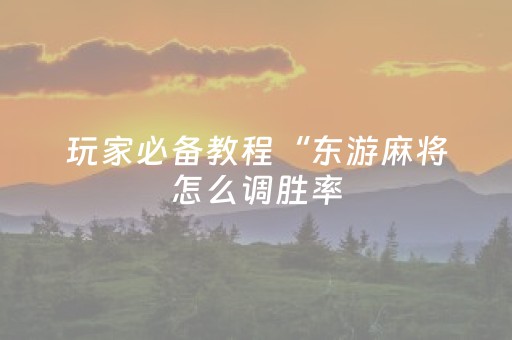 玩家必备教程“东游麻将怎么调胜率（专用辅牌神器免安装）
