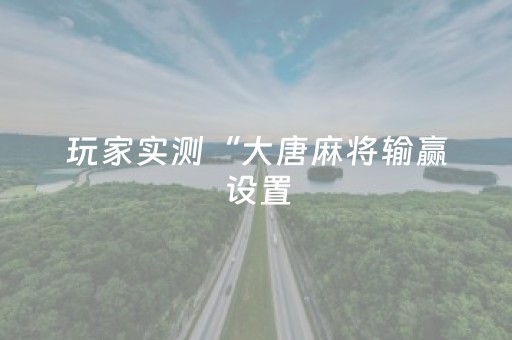 玩家实测“大唐麻将输赢设置（专用辅牌神器免安装）
