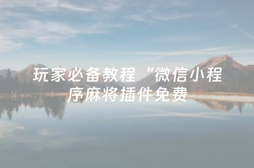 玩家必备教程“微信小程序麻将插件免费（专用辅牌神器免安装）