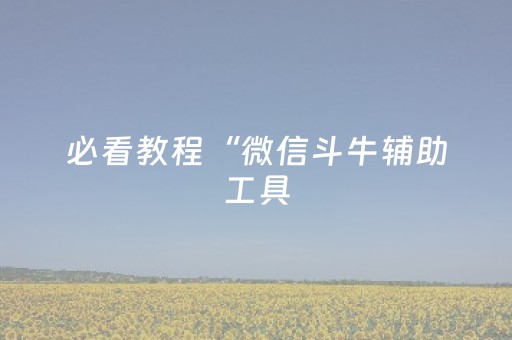 必看教程“微信斗牛辅助工具（专用辅牌神器免安装）