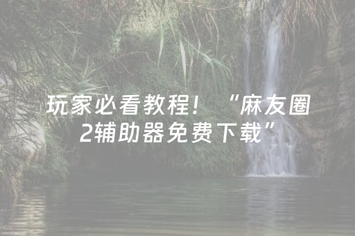 玩家必看教程！“麻友圈2辅助器免费下载”（详细辅助教程）-哔哩哔哩
