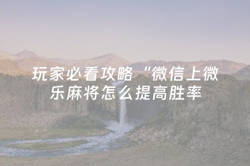 玩家必看攻略“微信上微乐麻将怎么提高胜率（助赢神器通用版）